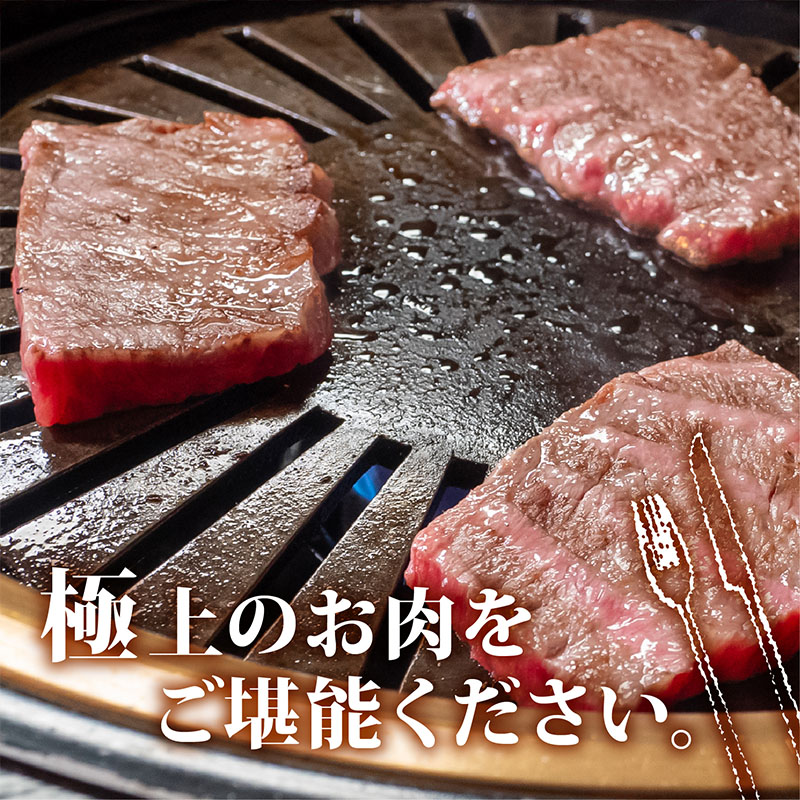 【2回定期便】土佐黒毛和牛 食べ比べ 1600g (計1.6kg以上) | Dコース 厳選 国産 和牛 すき焼き 焼き肉 お肉 にく 霜降り 牛肉 ウデ肉 うで肉 モモ肉 もも肉 人気 贈答 ギフト 