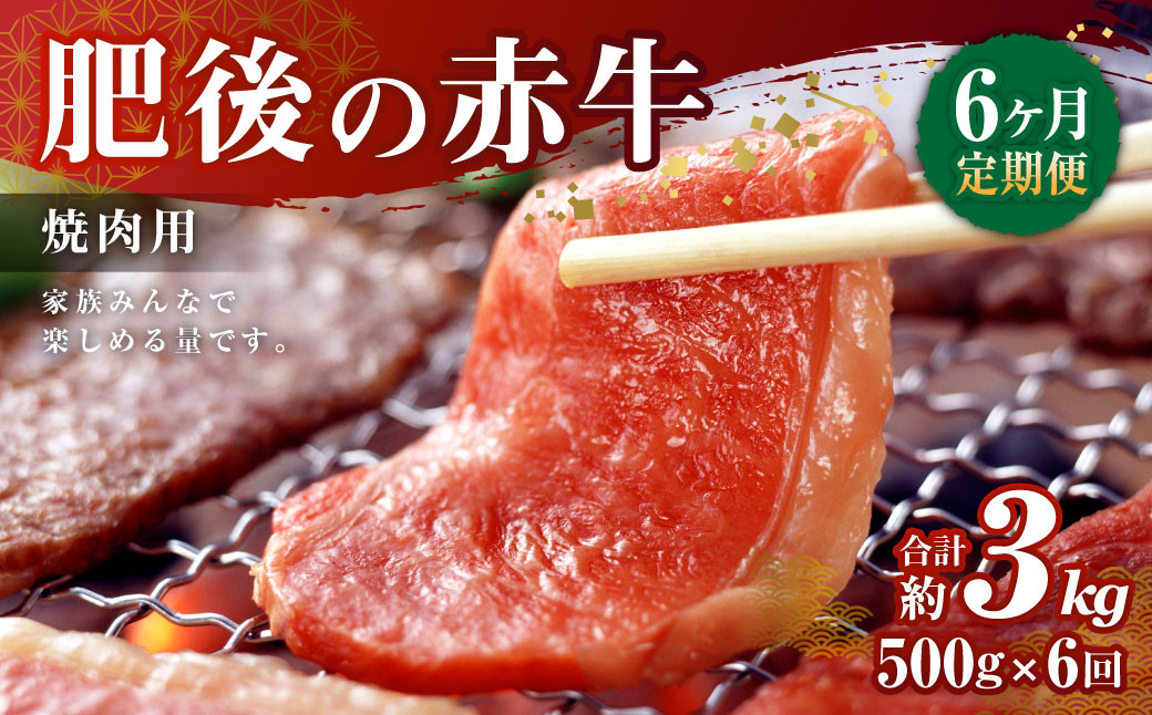 【6ヶ月定期便】肥後の赤牛 焼肉用 500g×6回 合計3kg あか牛 牛肉 肉 焼き肉 やきにく 冷凍 国産