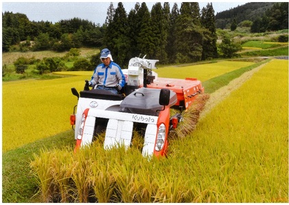 朝日町産 コメ つや姫 令和5年産 10kg