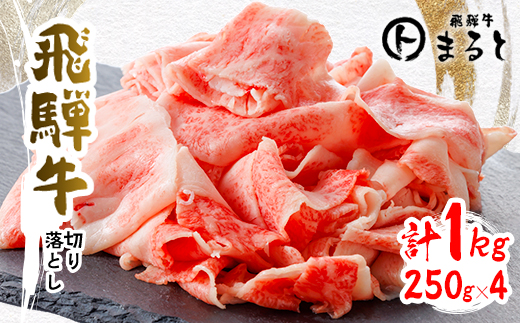 【飛騨牛】切り落とし250g×4　合計1kg【配送不可地域：離島】【1731545】