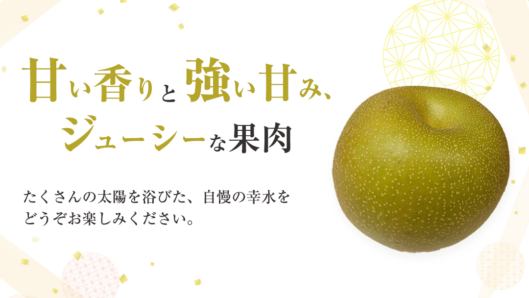 【 2025年8月上旬発送開始 】 茨城県産 梨 幸水 （約 5kg ） 10～16玉  梨 なし 和梨 日本梨 果物 フルーツ 新鮮 旬 期間限定 国産 先行予約[CL001us]