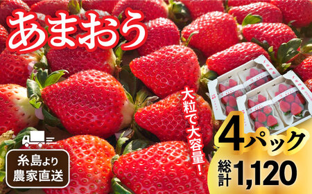 【先行予約】【農家直送！】 糸島産 あまおう 280g × 4パック (Sサイズ-Gサイズ) 【2025年1月下旬より順次発送】糸島市 / 後藤農園 [AML003] いちご 福岡 ランキング 上位 人気 おすすめ