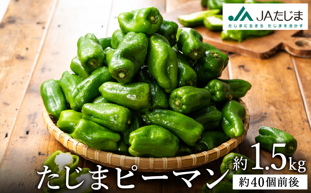 数量限定 たじまピーマン 約1.5kg / 肉厚 ピーマン 肉詰め 新鮮 野菜 産地直送 やさい 苦みが少ない 甘みが強い 歯ごたえが良い 濃い緑 夏秋ピーマン
