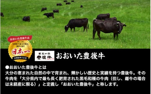 毎月お届け！豊後牛切り落とし定期便 / 計3回発送_2195R_イメージ4