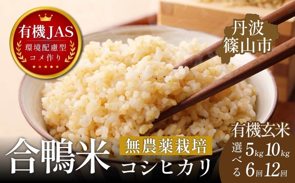 
                  【定期便】有機JAS認証 兵庫県丹波篠山産 コシヒカリ 玄米〈合鴨農法・無農薬・無化学肥料〉5kg・10kg × 6回・12回定期便選択可 伝田農産の希少米 令和8年産予約
                