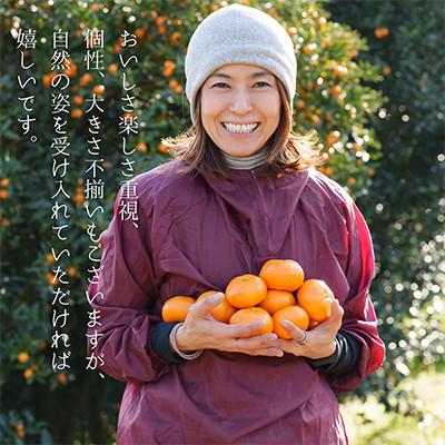ふるさと納税 真鶴町 相模湾を望む畑より柑橘農家の身体に優しいマーマレード3種セット&初摘み新茶2袋をお届け! |  | 01