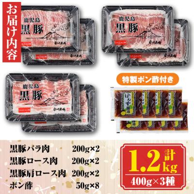 ふるさと納税 肝付町 南州農場　黒豚しゃぶしゃぶ詰合せ　B03001 |  | 03