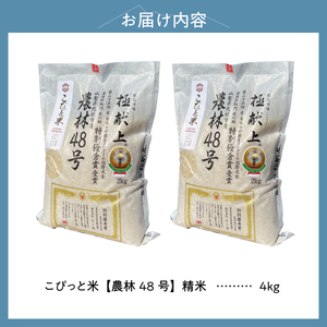 【令和7年度米】こぴっと米【農林48号】4kg　1等特別栽培 100％ 米 精米 よんぱち 幻のお米 北杜市産 お米  [h020]