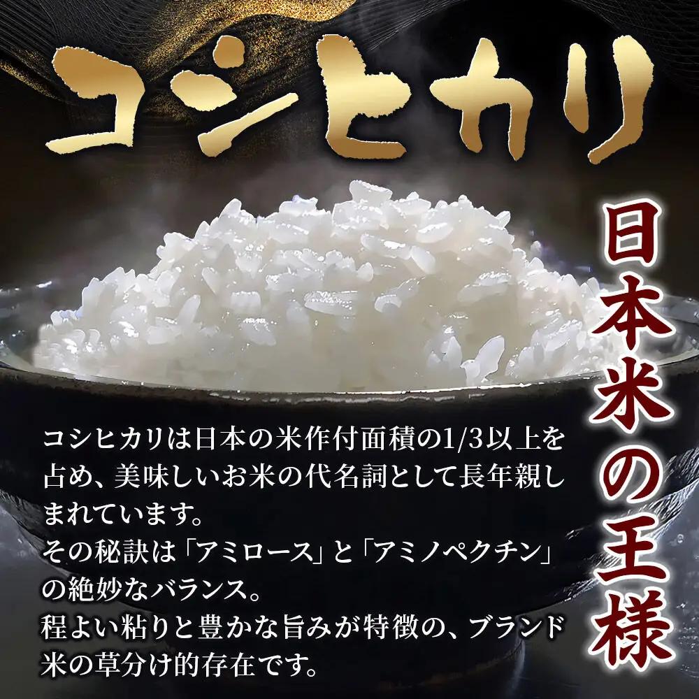 【令和7年産・玄米】宮城県栗原市産 コシヒカリ 5kg (5kg×1袋)