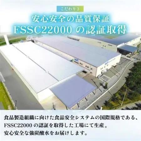 【毎月定期便】サーフVOLT(ボルト)強炭酸水レモン500ml×24本　1ケース　国産炭酸水全12回【4055690】