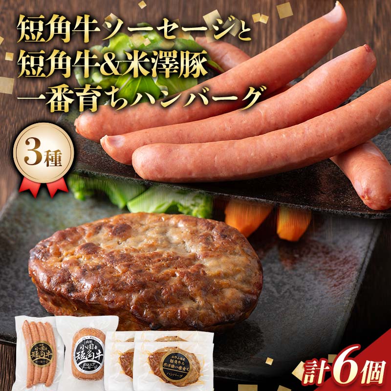 【ふるさと納税】 山形県産短角牛ソーセージと短角牛＆米澤豚一番育ちハンバーグ3種6個詰合せ（ソーセージ4本入 1個 ハンバーグ 4個 ボロニアソーセージ 1個） F2Y-6536