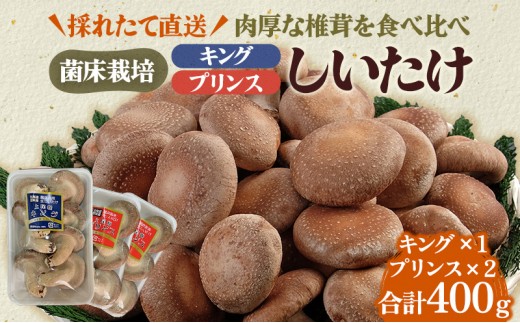 
                  北海道産 厚岸町 上尾幌 菌床栽培 キングしいたけ 1パック プリンスしいたけ 2パック  [№5863-1115]
                