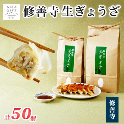 ふるさと納税 伊豆市 修善寺生ぎょうざ【修善寺】(冷凍)50個入