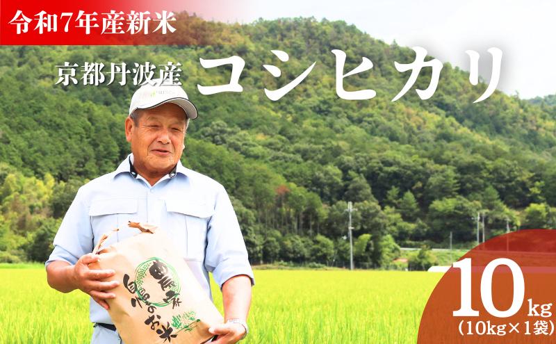 
            [№5334-0655]令和7年産新米 京都丹波産コシヒカリ 10kg　米 こしひかり 精米 白米 
          