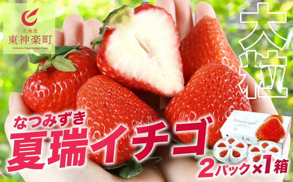 
            2026年産 先行予約【夏イチゴ】奇跡のひと粒「夏瑞」2パックセット 果物 フルーツ 苺 いちご 国産 北海道産
          