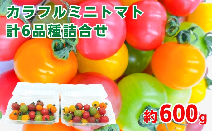 「栗林農園」カラフルミニトマト詰合　600g