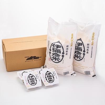 ふるさと納税 弥彦村 【伊彌彦米とパックごはんセット】精米5kg×2袋 パックごはん4パック ブランド米 新潟県 弥彦村