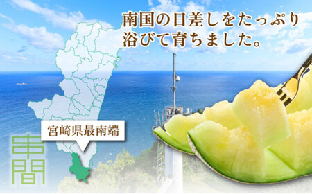 TNM2L ＜先行予約・数量限定＞ 串間産アールスメロン２Ｌ２玉（計３kg以上）【谷口農園】