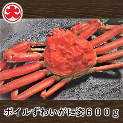 ふるさと納税 根室市 ボイルずわいがに姿600g×1尾 A-01046