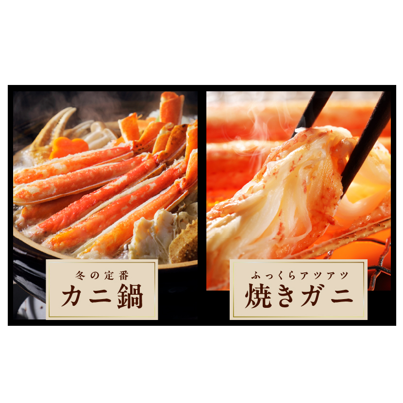 ボイルズワイ蟹 1.2kg カット済み（3-4人前） 099H242_イメージ5