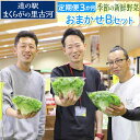 【ふるさと納税】【定期便3か月】道の駅まくらがの里古河　季節の新鮮野菜おまかせBセット ※北海道・沖縄・離島への配送不可 | 野菜 詰合せ 詰め合わせ セット アソート 新鮮 道の駅 人気 ギフト 贈答 贈り物 プレゼント お中元 お歳暮 茨城県 古河市 直送 農家直送 _BQ06