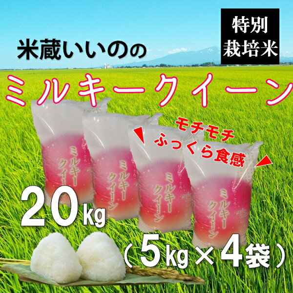 【ふるさと納税】米蔵いいの特別栽培米ミルキークイーン20kg（5kg×4袋）