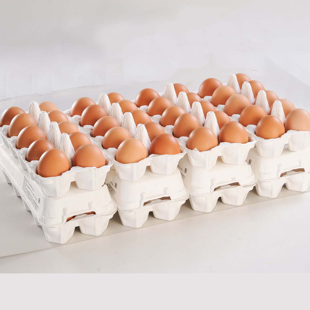 【定期便】12ヵ月連続お届け　卵の黄身が掴めるほどの新鮮さ　美ら卵養鶏場の卵　各月80個_イメージ3