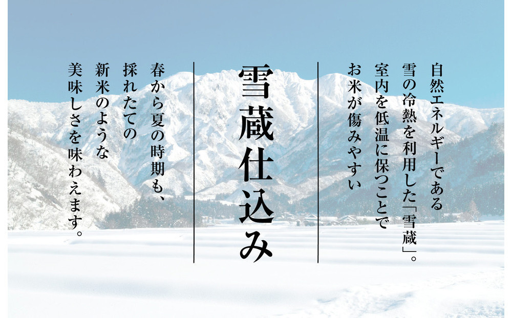 【令和7年産　頒布会】雪温精法　佐渡産こしひかり2kg×3回
