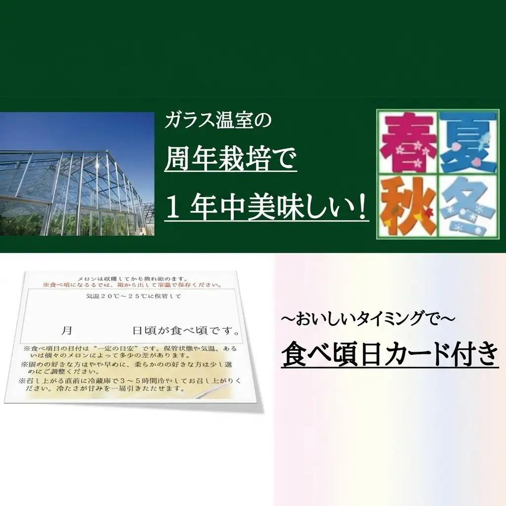 メロン 3ヶ月 定期便 クラウン 白等級 特大玉 1玉 メロン