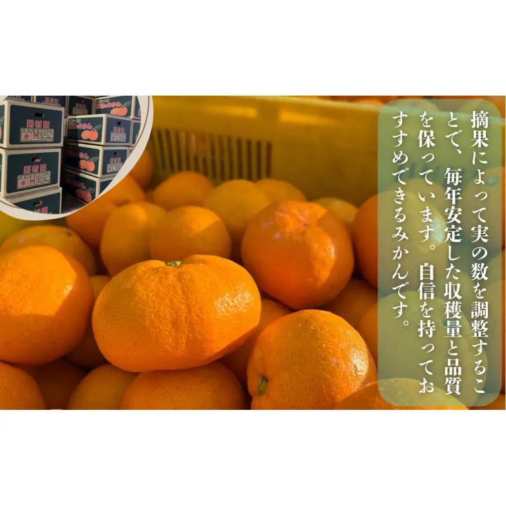 則村園産 有田みかん 7kg 温州みかん みかん 蜜柑 甘い 甘いみかん 有田 有田川町 和歌山