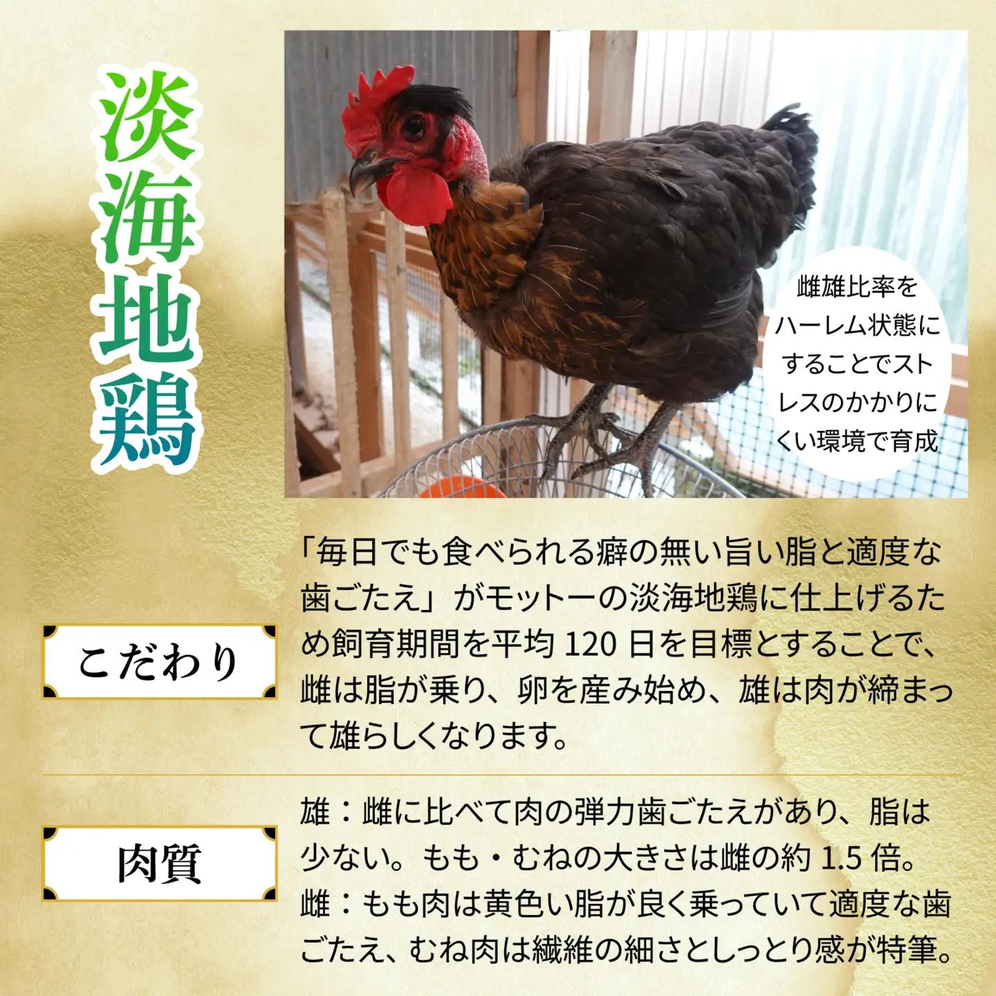 【かしわの川中】超新鮮＆美味！食べ比べ 近江しゃもvs淡海地鶏 計1,400g（4～6人前） [G003]/ しゃも