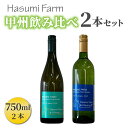 【ふるさと納税】珍しい甲州種を使用した甲州飲み比べ 2本セット(はすみふぁーむ)