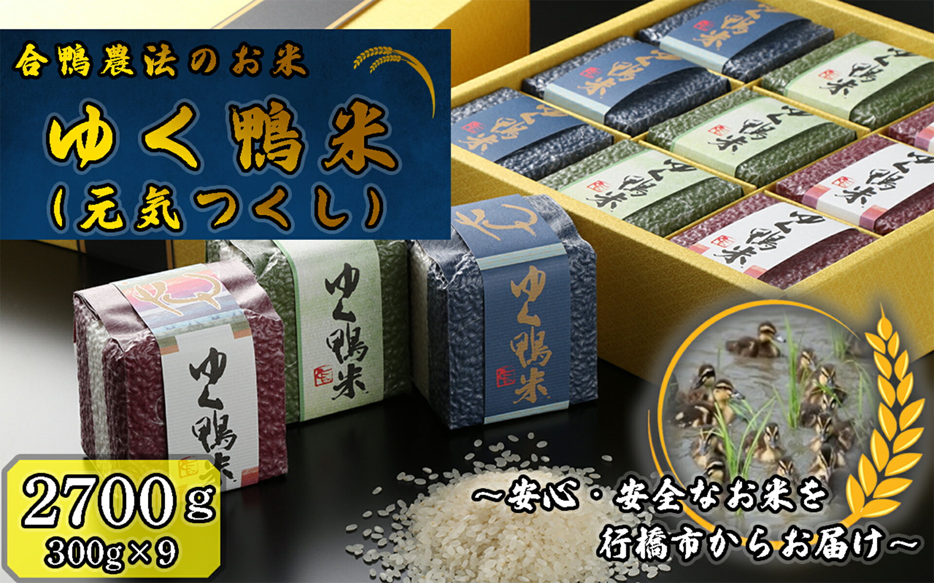 【ふるさと納税】合鴨農法のお米「ゆく鴨米」（元気つくし）2,700g～安心・安全なお米を行橋市からお届け_CB-001