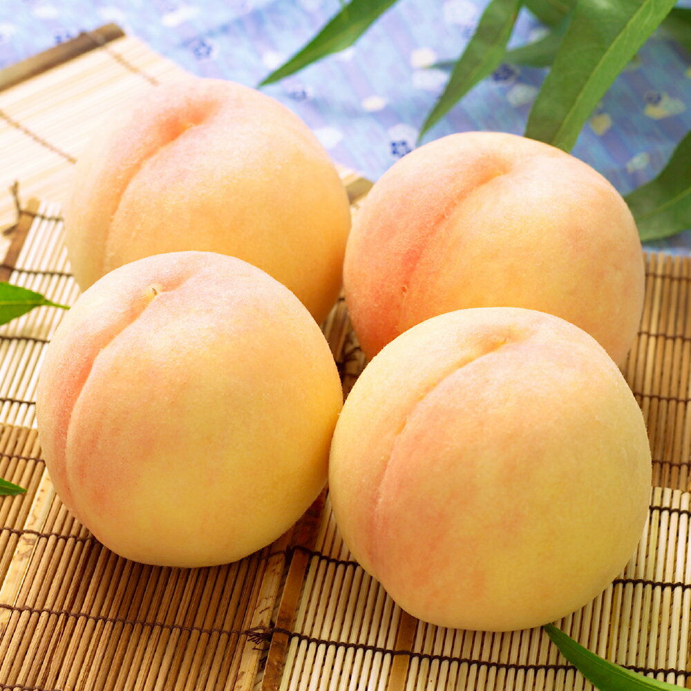 【ふるさと納税】岡山白桃 ＜選べる内容量＞ 4～5玉（合計1.0kg以上） / 8～10玉（合計2.0kg以上） 白桃 桃 もも モモ フルーツ 果物 果実 くだもの 有袋栽培 冷蔵 岡山県産 国産 岡山県 倉敷市 送料無料 【2026年7月上旬～8月上旬迄発送迄順次発送予定】