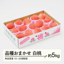 【ふるさと納税】もも 桃 品種おまかせ白桃 秀品程度 約5kg(10~25個程度) 山形県産 tf-moyws5※沖縄・離島への配送不可