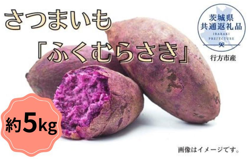
            【2025年産】さつまいも「ふくむらさき」約5kg（茨城県共通返礼品／行方市産）
          