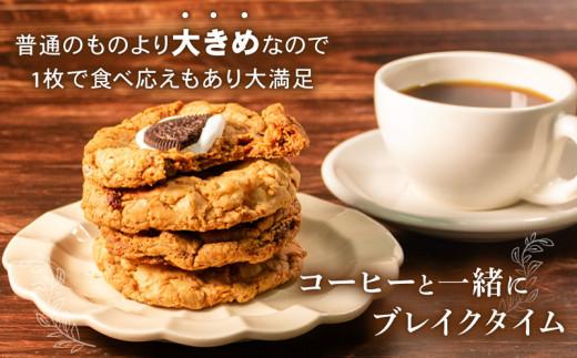 季節限定 焼き菓子 詰め合わせ 10枚 個包装 スイーツ クッキー缶 クッキーボックス アソート セット チャンククッキー サブレ 洋菓子 焼き菓子 お菓子 焼菓子 おやつ プレゼント ギフト お取り