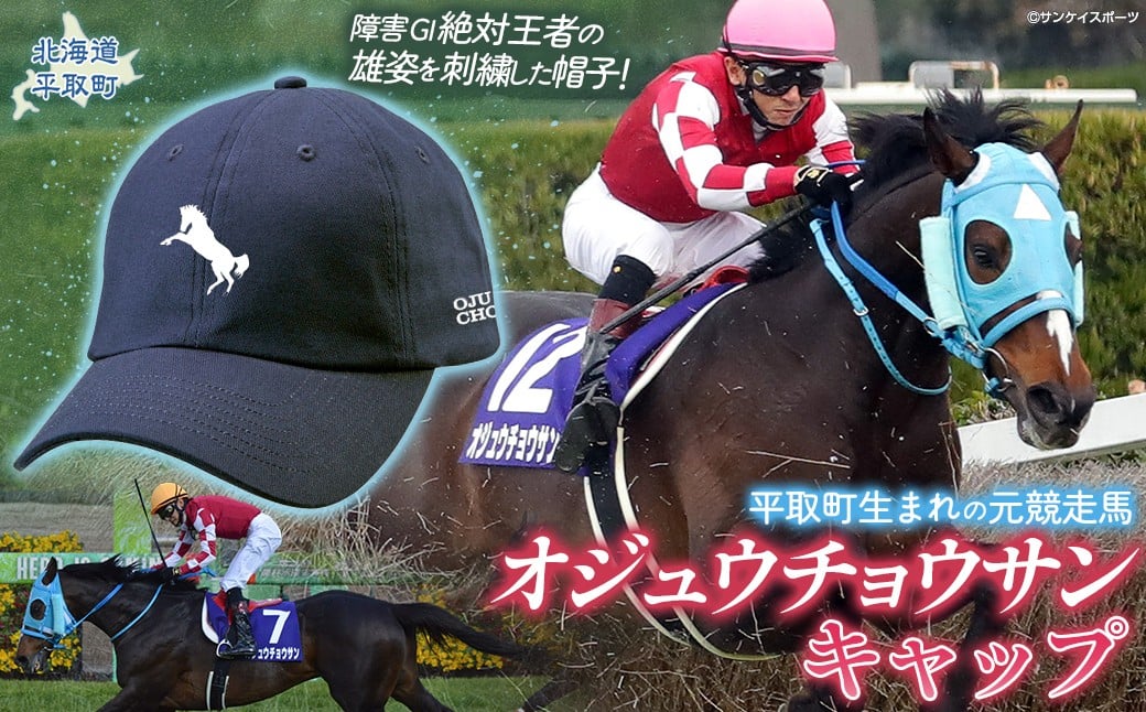 
            【オジュウチョウサン】キャップ【ふるさと納税 人気 おすすめ ランキング 馬 競馬 競走馬 オジュウチョウサン 北海道 平取町 送料無料】 BRTV011
          