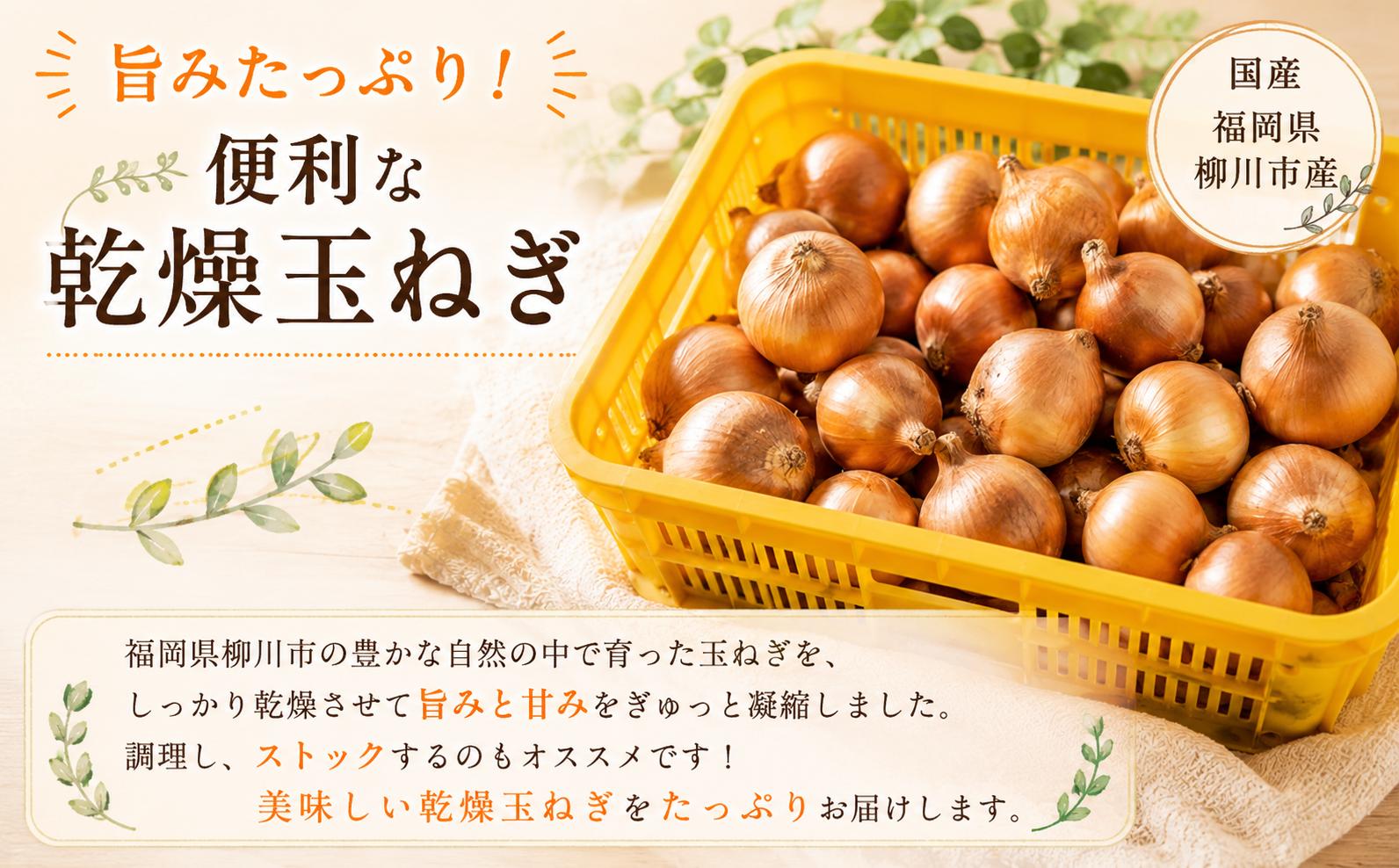 【先行予約】【訳あり】たなか農産の柳川産新玉ねぎ 約5kg