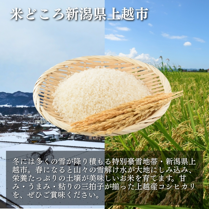 定期便 6ヶ月【6ヶ月連続お届け】米物語 上越産 コシヒカリ 10kg (5kg×2袋) こしひかり 米 お米 こめ 新潟