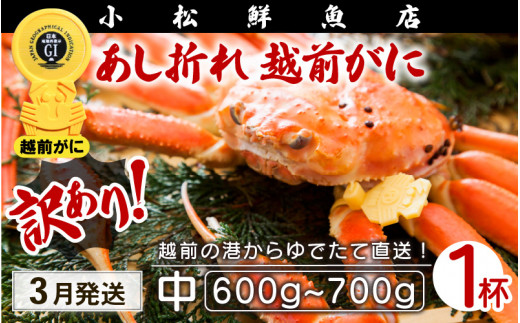 【訳あり】越前がに本場の越前町からお届け！足折れ 越前がに 浜茹で 中サイズ（生で600～700g） × 1杯【かに カニ 蟹】【福井県 越前町 雄 ズワイガニ ボイル 冷蔵 越前ガニ 越前かに 越前カニ】【3月発送分】 [e23-x001【】03]