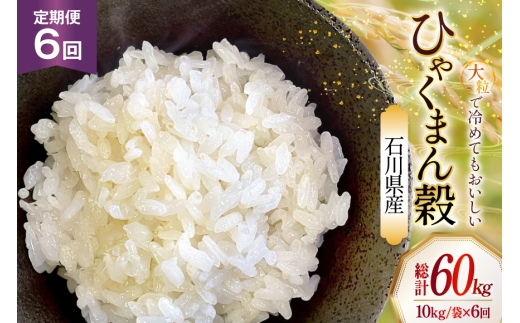 米 令和8年産 6回 定期便 特別栽培米 ひゃくまん穀 10kg [ かさの郷 石川県津幡町 tb17bgj610005] お米 こめ 令和8年 ひゃくまんごく 10キロ おこめ ご飯 ごはん ゴハン 精米 白米 コメ 石川県産 kome 定期 6ヶ月