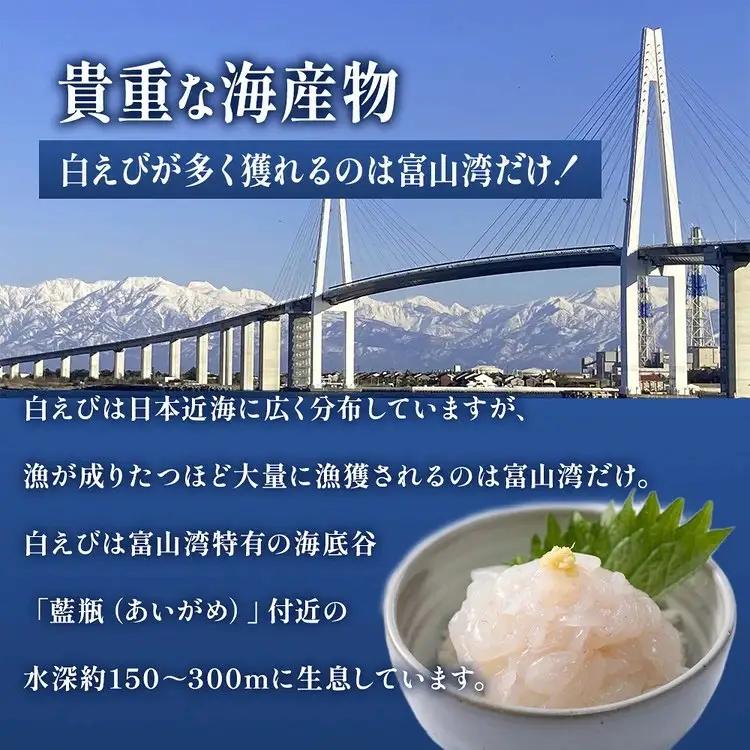 白えびミックス（刺身・昆布締め）