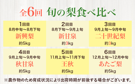 【先行予約】梨王国2026 旬の梨食べ比べ 全6回 定期便 合計約28kg（鳥取県産）梨 和梨 フルーツ定期便 新興梨 新甘泉 二十世紀梨 秋甘泉 王秋 あたご梨