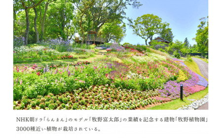 【四国一小さなまち】 ★ 香りの教室 帆南 ★ アロマスプレー ～ 百花らんまん ～ 