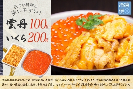 1768.  うに 100g いくら醤油漬け 200g ウニ チリ産 冷凍 いくら 二色丼 雲丹 イクラ 海鮮 海鮮丼 うに丼 いくら丼 いくら醤油漬け 送料無料 北海道 弟子屈町