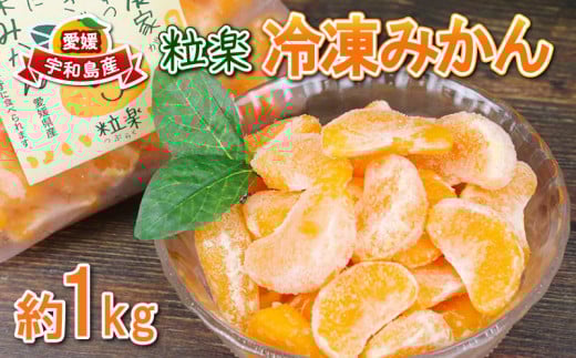 冷凍 みかん 1kg 1袋 粒楽 冷凍みかん 先行予約 冷凍フルーツ 南四国ファーム 蜜柑 デザート スイーツ シャーベット アイス 果物 フルーツ 柑橘 冷凍 加工品 産地直送 国産 愛媛 宇和島 