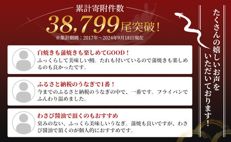 【3回定期便】4か月毎 浜名湖 国産 うなぎ白焼 約110g×2尾 計6尾 国産 ウナギ 鰻 白焼き 蒲焼き 静岡 浜松市