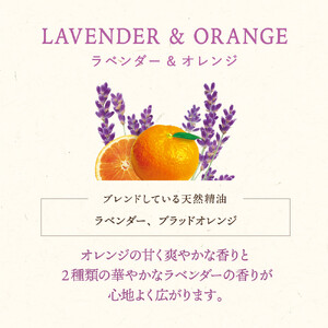 木と果 消臭クリップ つけかえ用 ラベンダー ＆ オレンジ 晴香堂 車用 芳香剤 フレグランス
