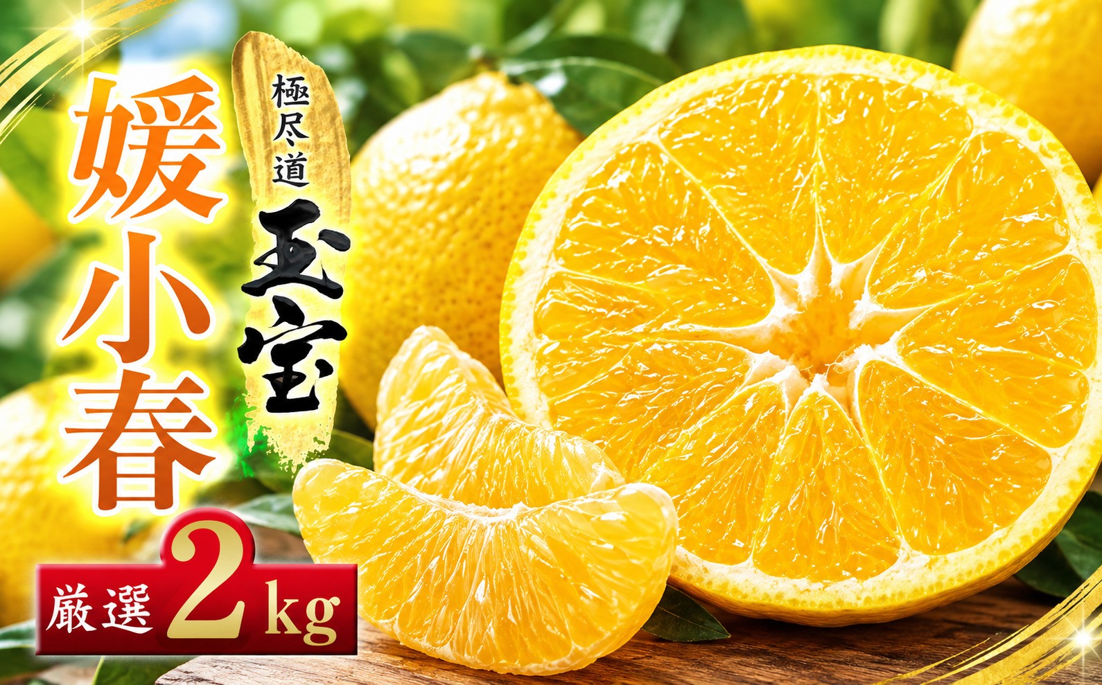 
                  ＜愛媛名産＞玉宝媛小春(ひめこはる)　2kg＜D64-85＞【1623968】 YWTY074
                